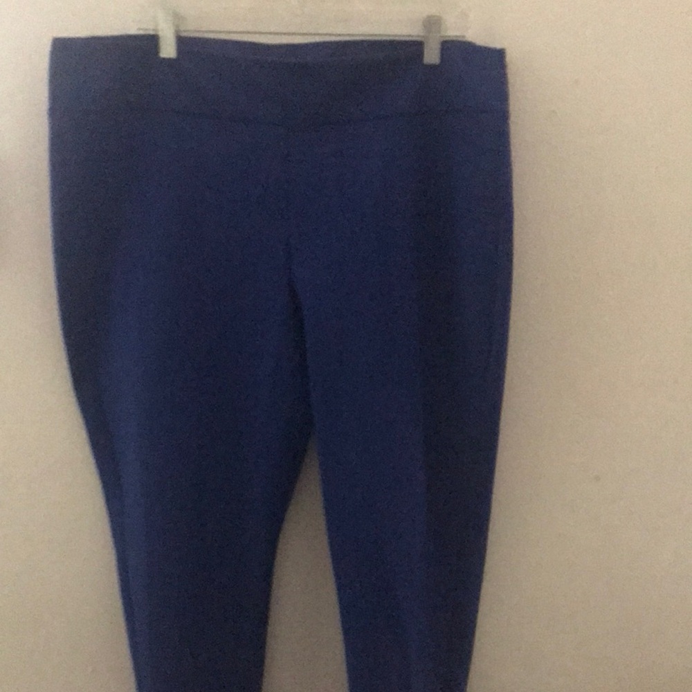 Women's Blue Pants